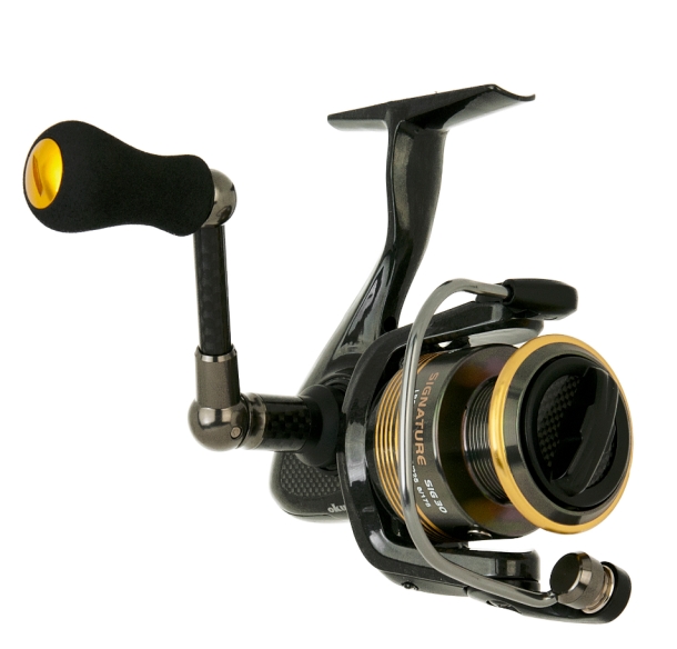 An example of a brown Siamese fighting fish. Image: Nathan Litjens